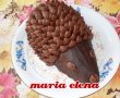 Tort Arici-1