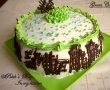 Green Cake-0