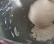 Ravioli - Coltunasi chinezesti cu praz-2
