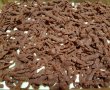 Desert prajitura cu branza si blat de cacao razuit (Rudy)-5