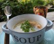 Supa din piept de curcan cu taitei de casa la slow cooker Crock Pot-3