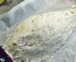 Dorada in crusta de sare-4