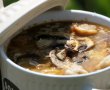 Supa delicioasa de ciuperci brune cu branzeturi-14