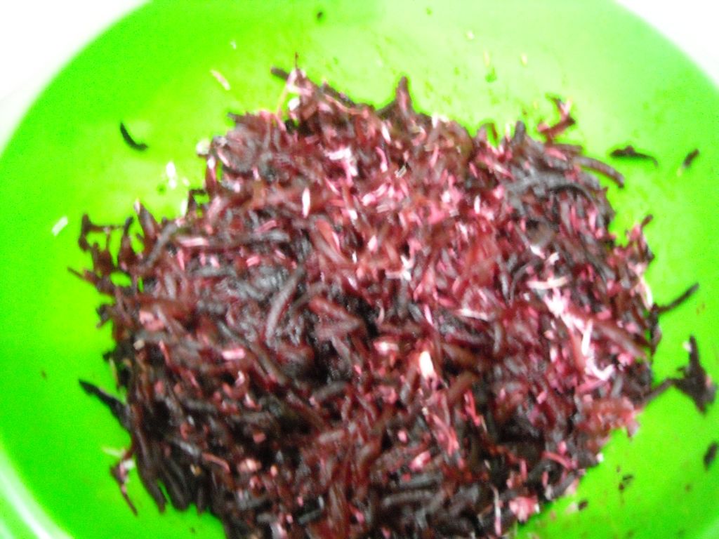 Salata de sfecla rosie la cuptor, cu hrean