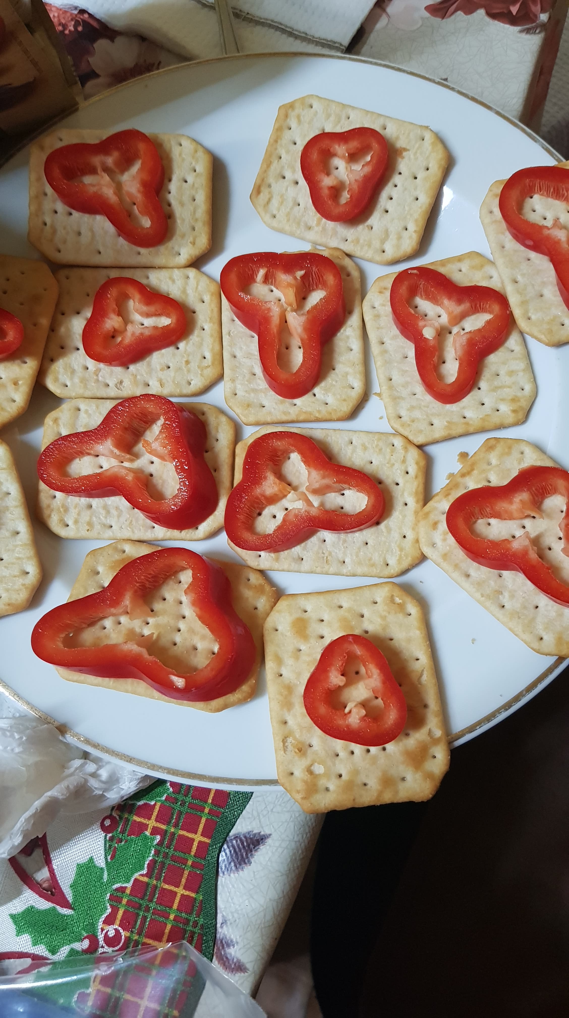 Aperitiv cu somon si branza topita