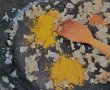 Curry Indian cu Pui - Reteta gustoasa si usoara-4