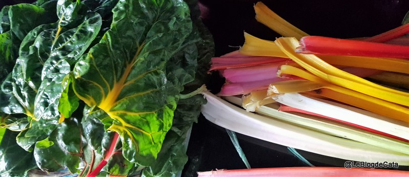 Placinta cu carne si frunze de mangold ( swiss chard ) 